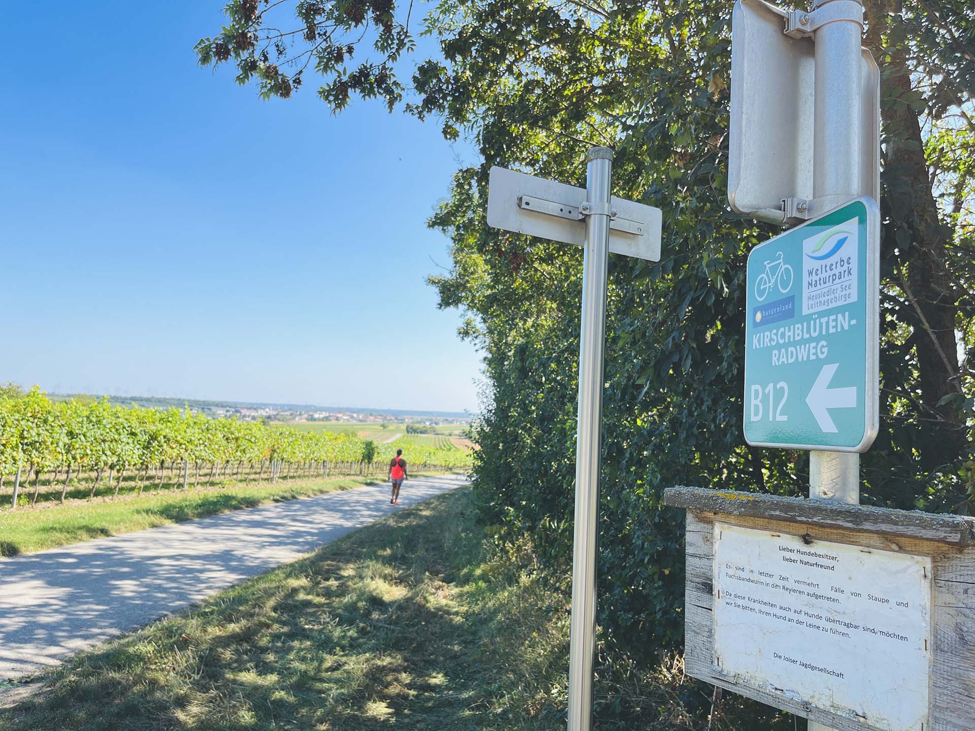 Joisból Purbachba a Kirschenblüten Radweg mentén-8