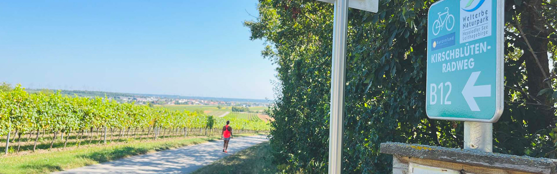 Joisból Purbachba a Kirschblüten Radweg mentén