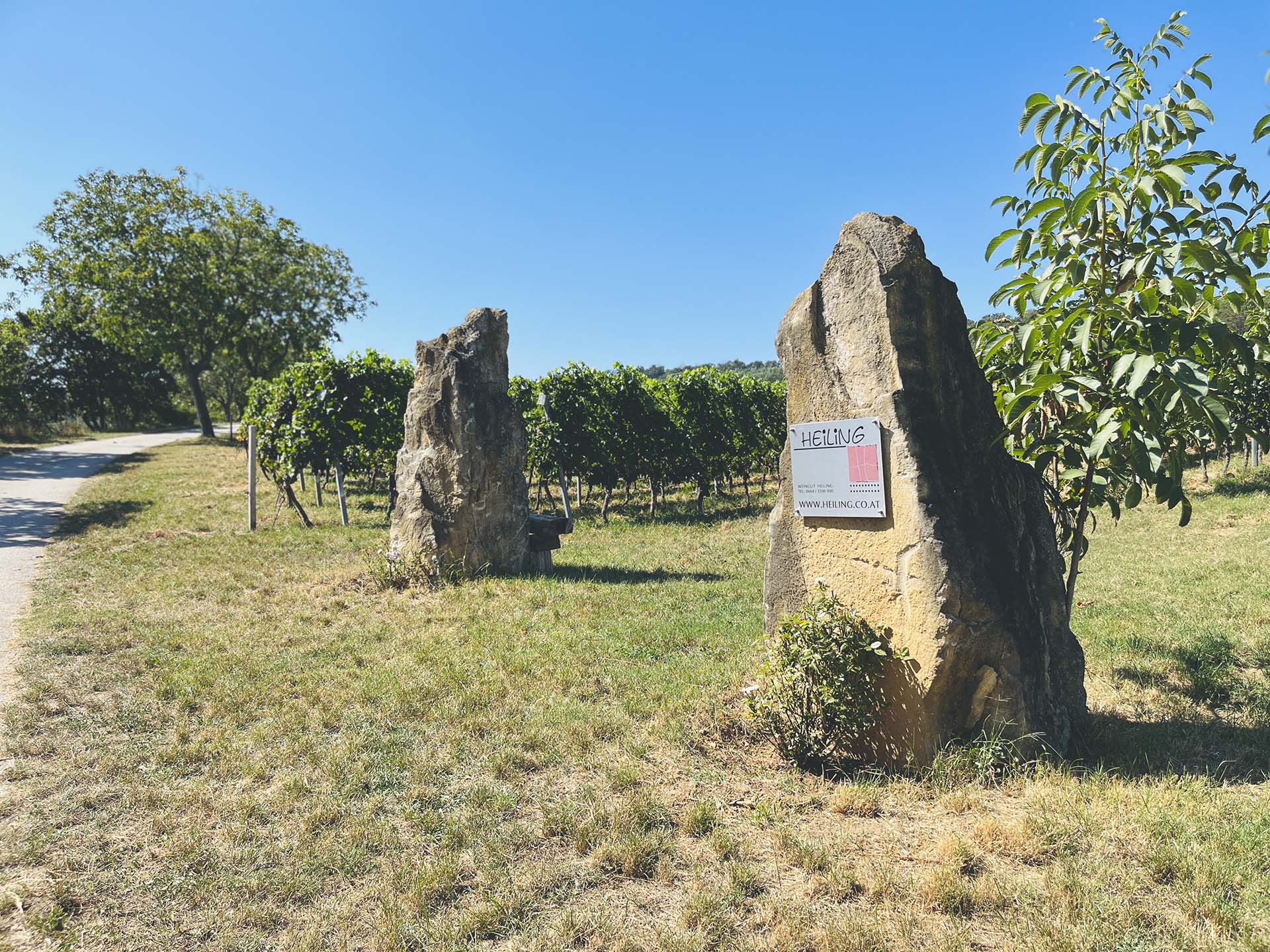 Panorámás túrázás piknikkel és borkóstolással fűszerezve-5