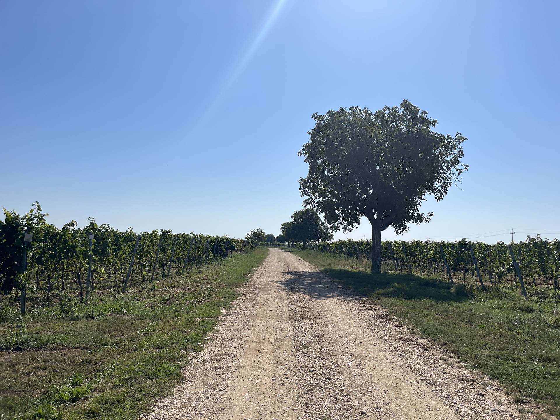 Panorámás túrázás piknikkel és borkóstolással fűszerezve-25