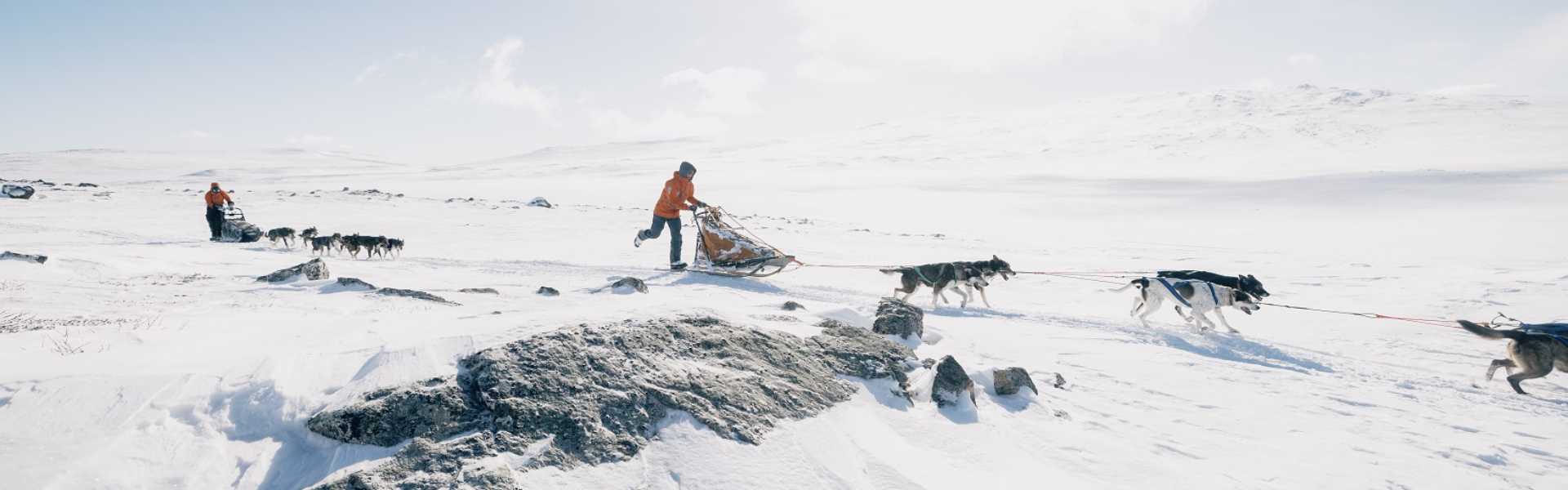 Indul a jelentkezés a Fjällräven Polarra!