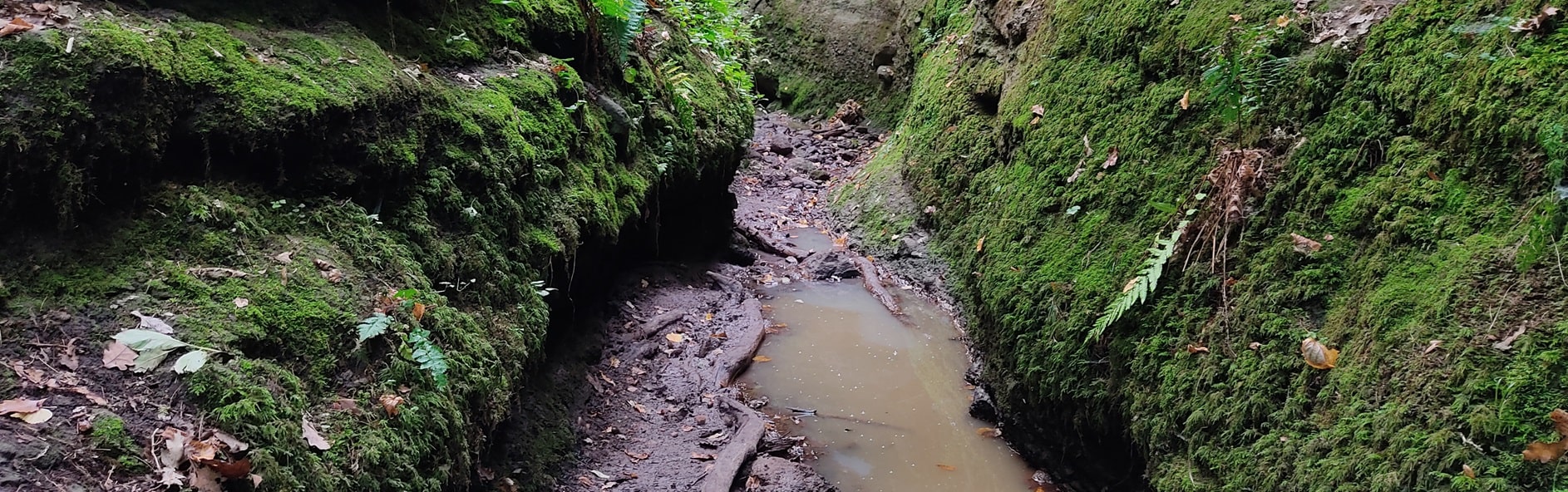 Szakadás-árok körtúra