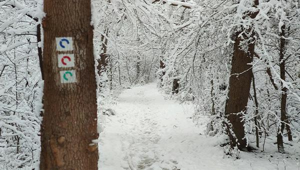 Téli Crossfutás (I. forduló)