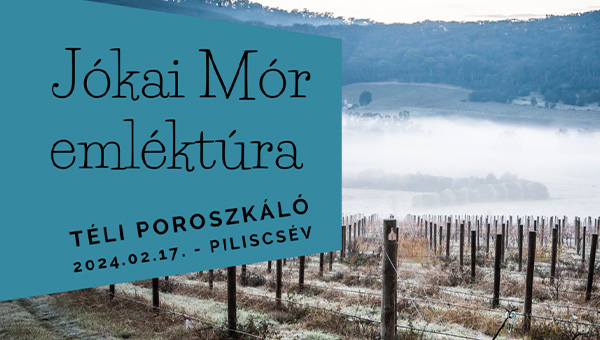 Jókai Mór Emléktúra - téli Poroszkáló - 10 / 26