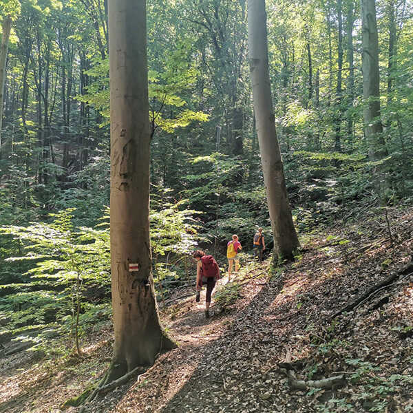 Barangolás a Hidasi-völgyben