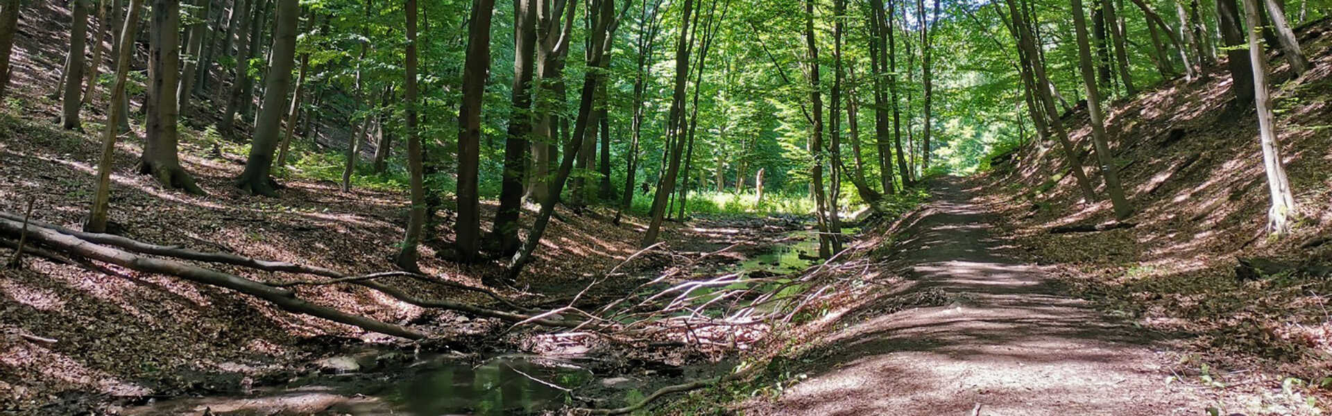 Barangolás a Hidasi-völgyben