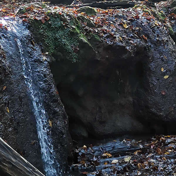 A Nagy-Mély-völgy és a Melegmányi-völgy mésztufa csodái