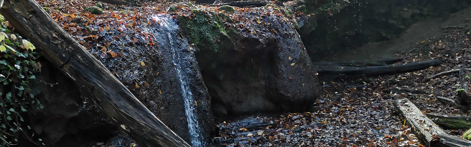 A Nagy-Mély-völgy és a Melegmányi-völgy mésztufa csodái