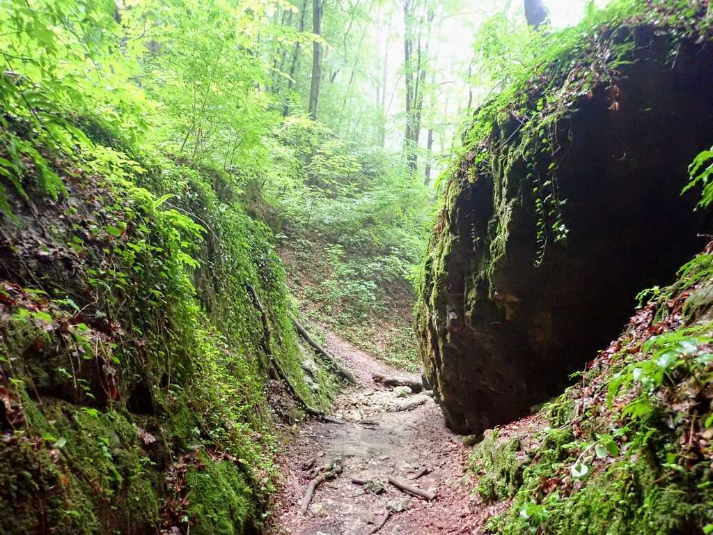 A Nagy-Mély-völgy és a Melegmányi-völgy mésztufa csodái-6