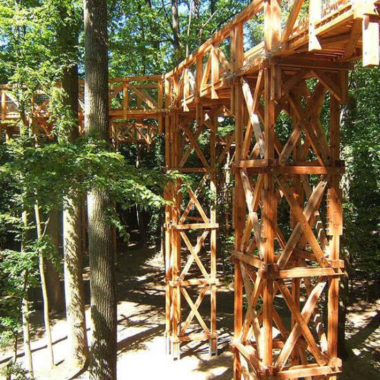 Lombkoronaösvény körkép: Melyik a 10 legszebb Magyarországon