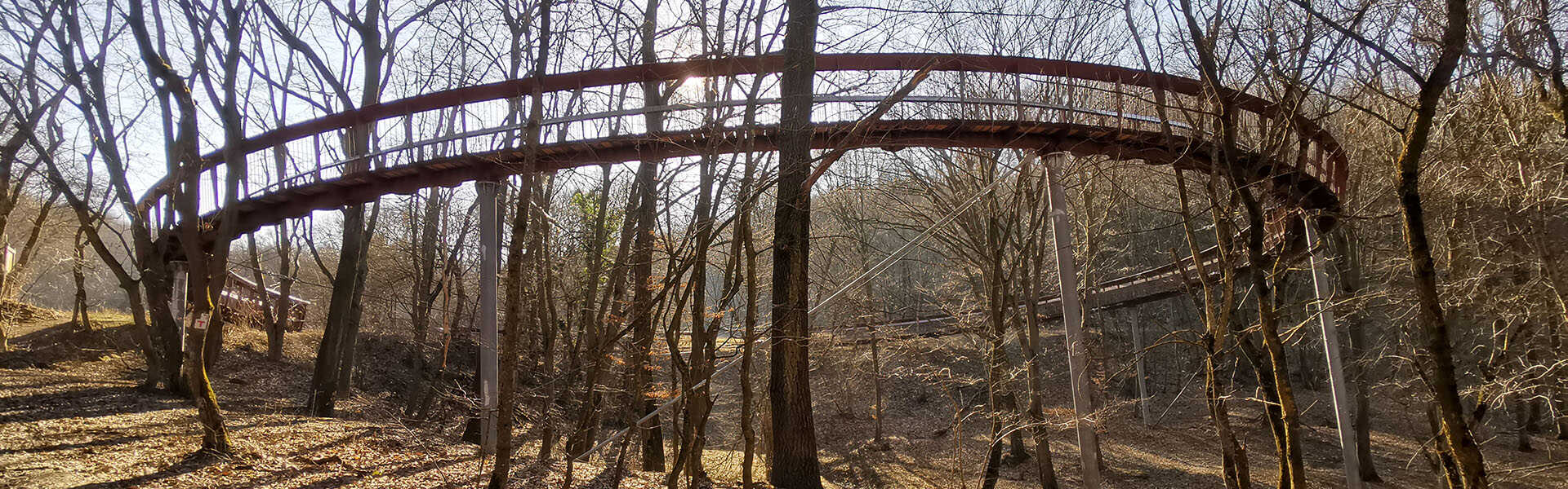 Lombkoronaösvény körkép: Melyik a 10 legszebb Magyarországon