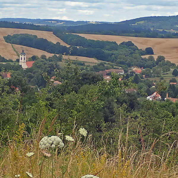 A Sás-völgy és a Nyáras-völgy bejárása