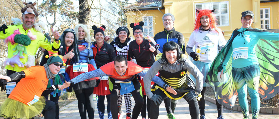 Kometa 14. Futófarsang Kaposvárimg