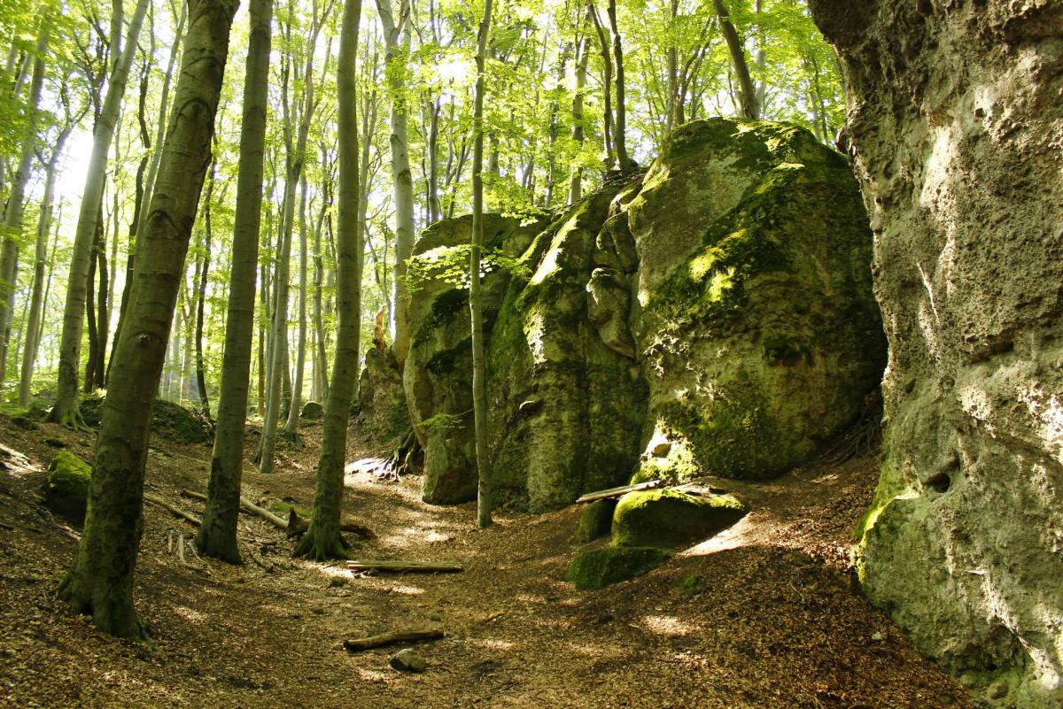 A Pilis Belső Köre Túraimg