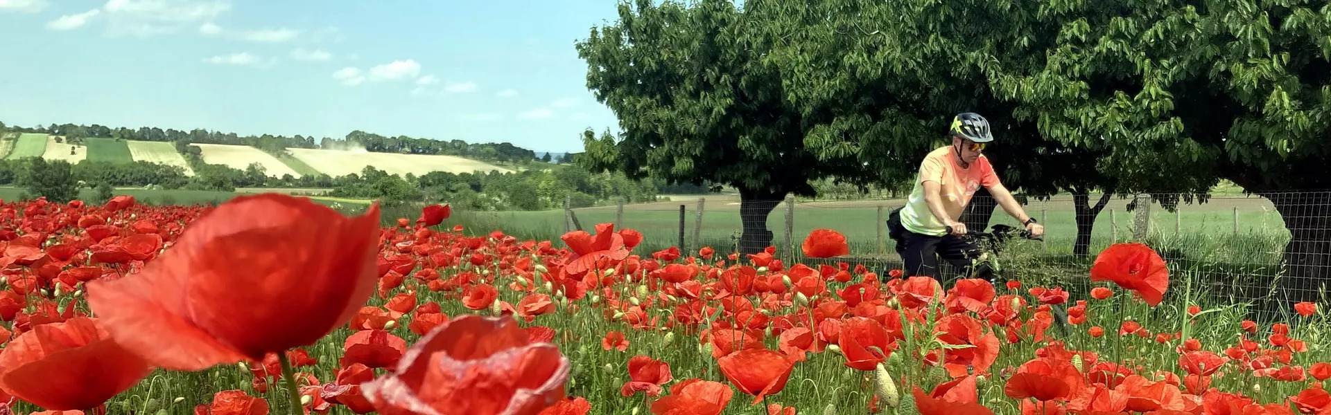 Korai bringás tavasz Ausztriában