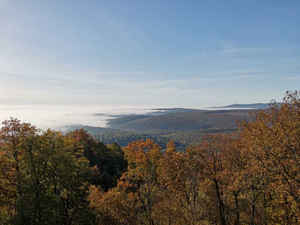 A Köves-hegy és a 25-ös tó bejárása-1