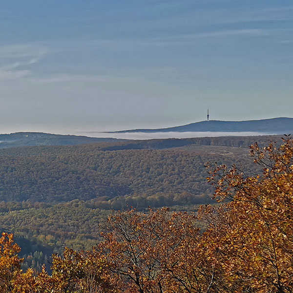 A Köves-hegy és a 25-ös tó bejárása