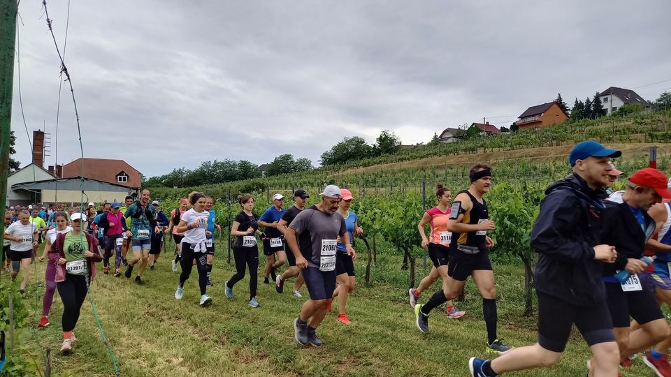 5. Pécs-Orfű-Abaliget Félmaratonimg