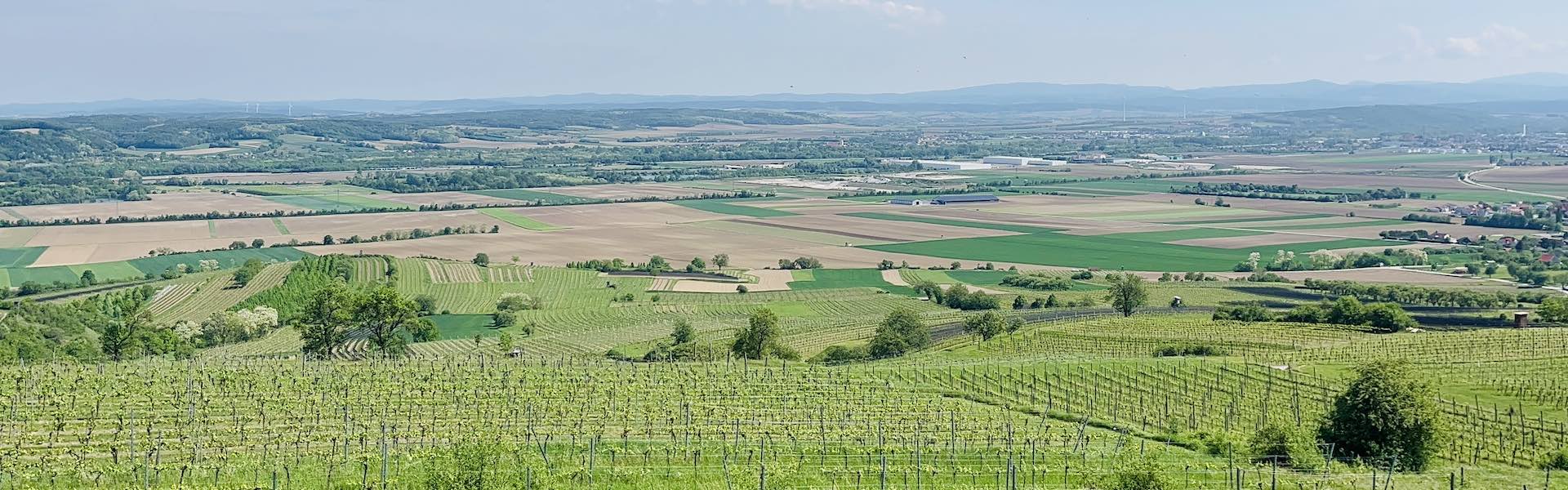 Gravel túra a st. pölteni borvidéken Túra