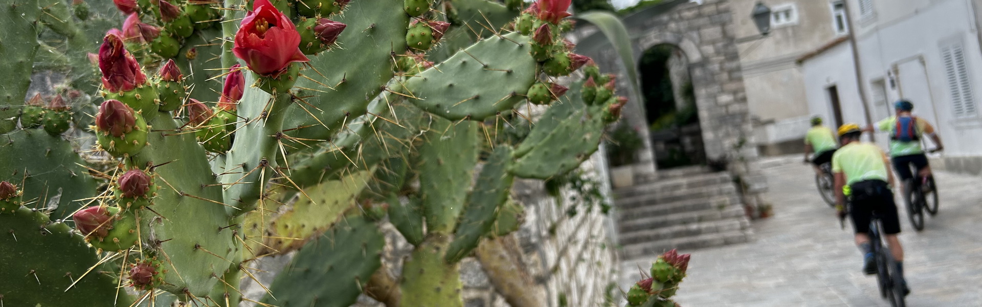 Capo Fronte, avagy gravel/mtb túra a Rab sziget zöldebbik felén