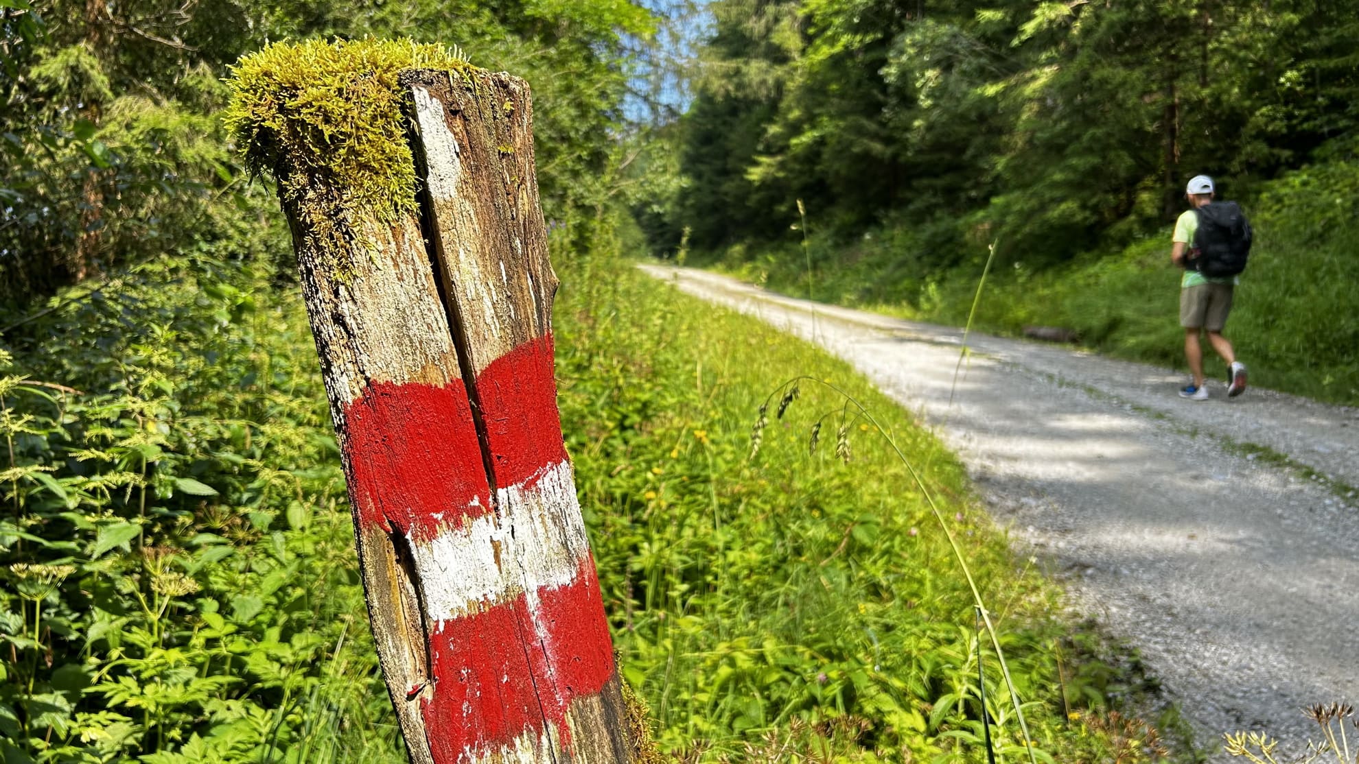 Stájer Vas Útjának negyedik szakasza avagy egy lélegzetelállító gerinc túrája-10