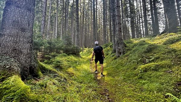Stájer Vas Útjának ötödik szakasza avagy tündék erdején keresztül a bányához