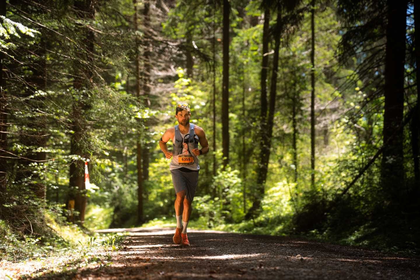 adidas TERREX Innsbruck Alpine Trailrun 2025-2