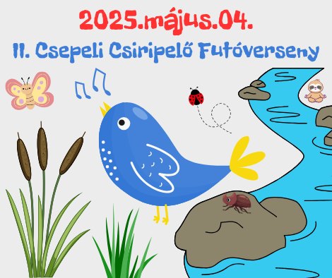 II. Csepeli Csiripelő futóversenyimg