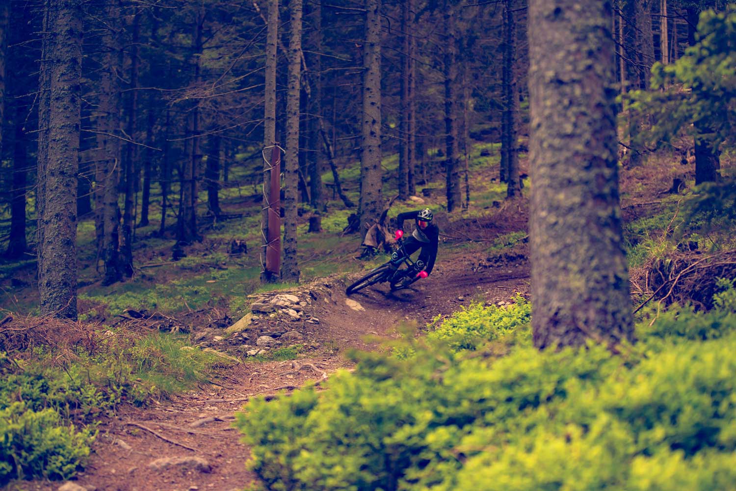 Tovább bővül a magyarok kedvenc trail parkja - Wexl Trail-3