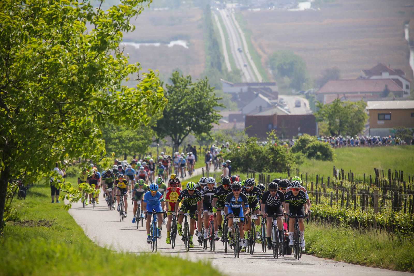 Fertó-tő Kerékpár Maraton Gran Fondo-2