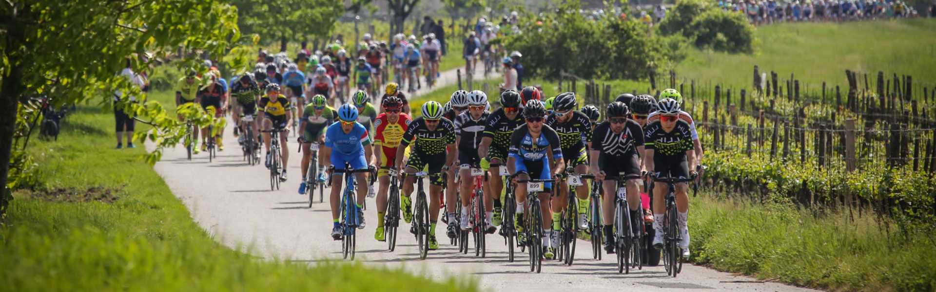 Fertő-tó Kerékpár Maraton Gran Fondo