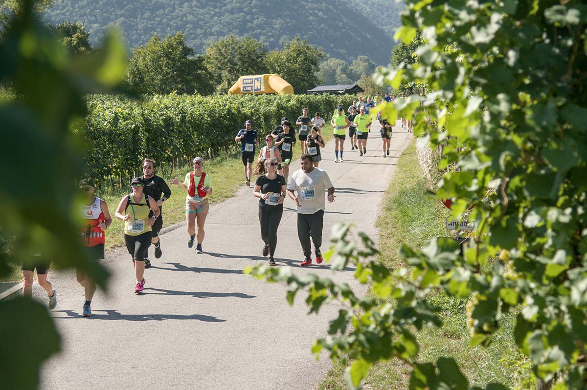 Wachaumarathon-2