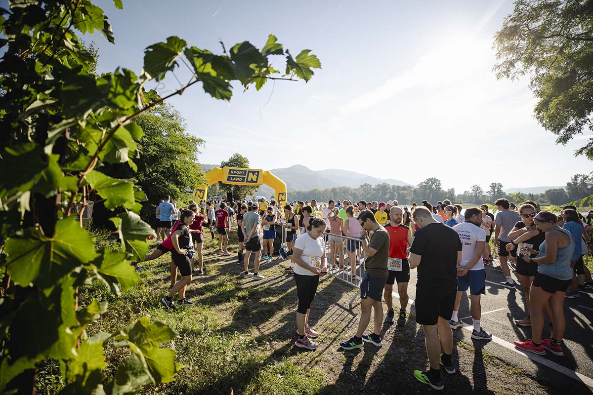 Wachaumarathon-4