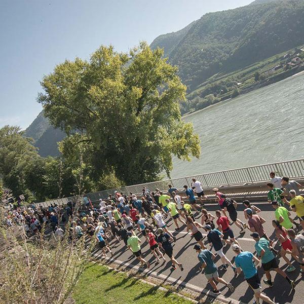 Wachaumarathon