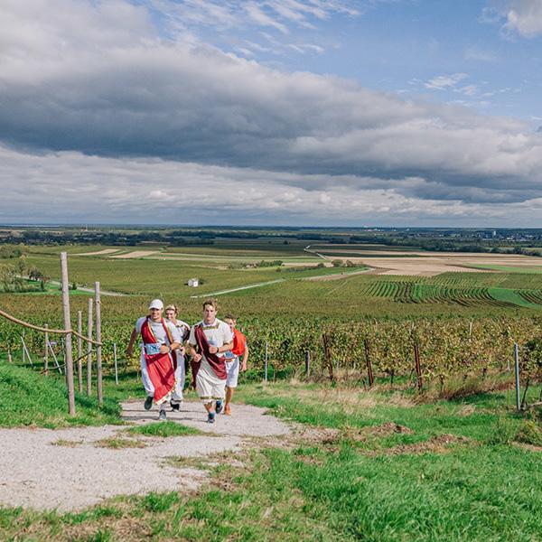 Blaufränkischland Marathon