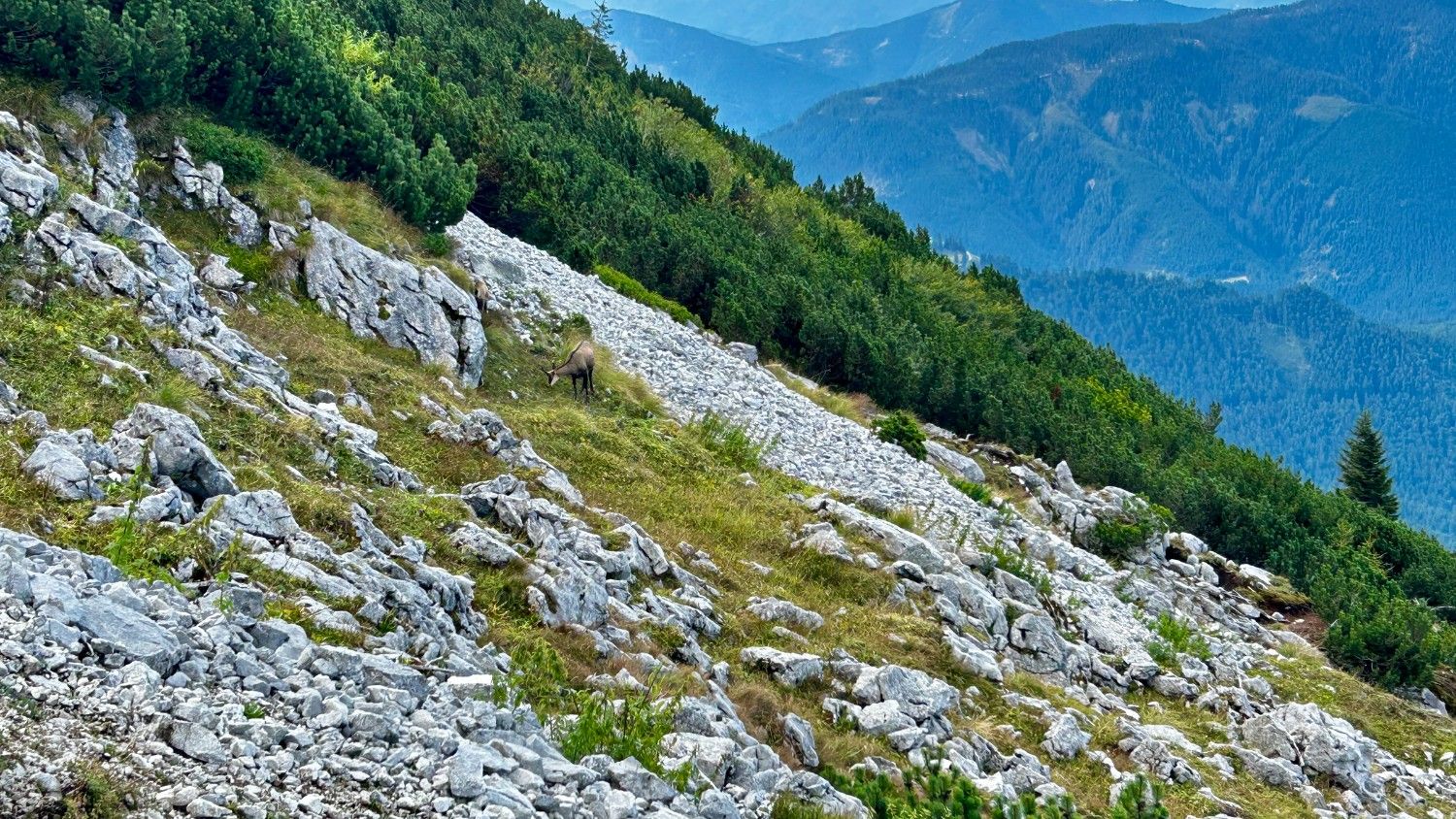 A normál út a Großer Donnerkogel csúcsára-6
