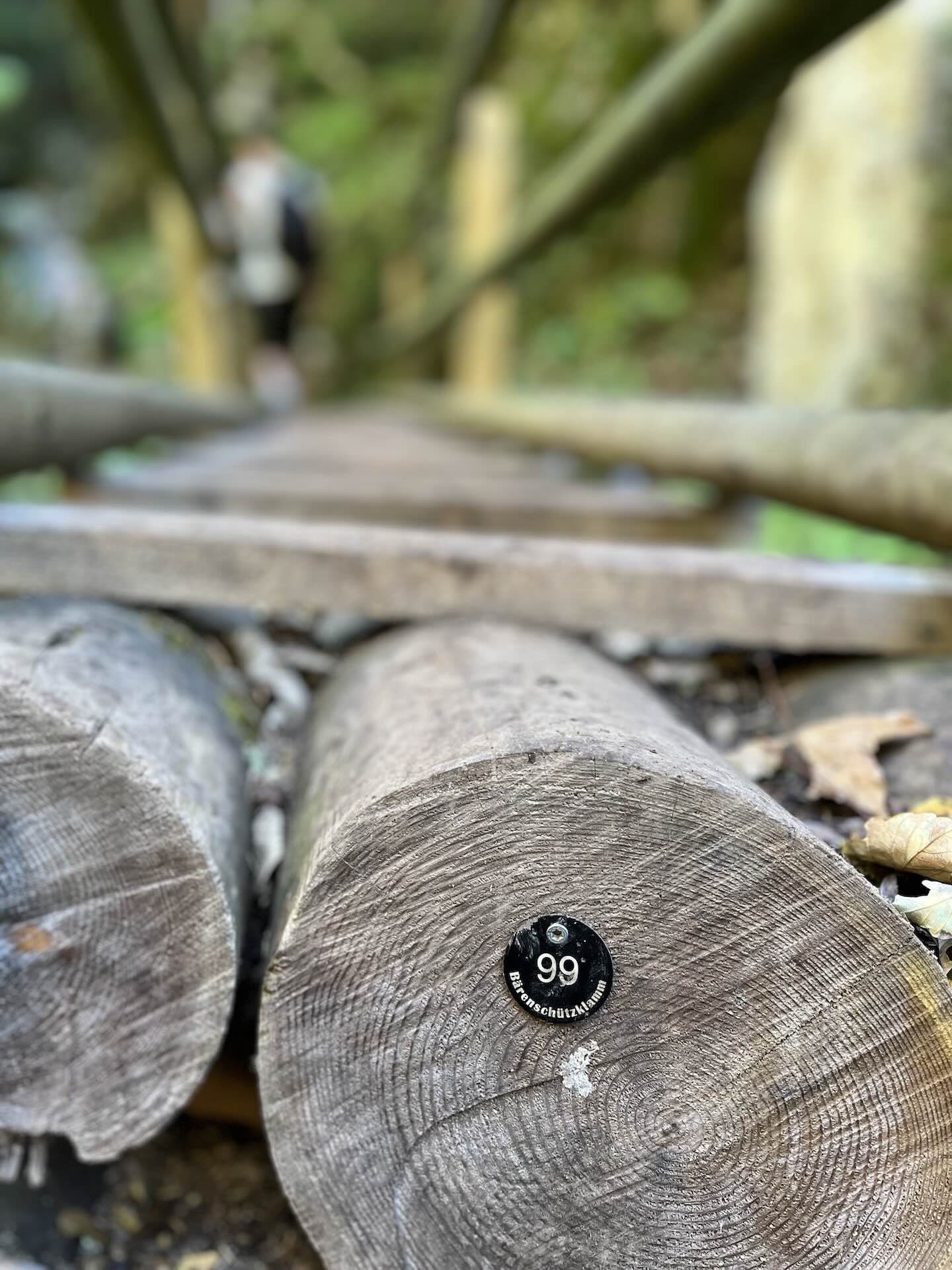 Bärenschützklamm szurdoktúra-2
