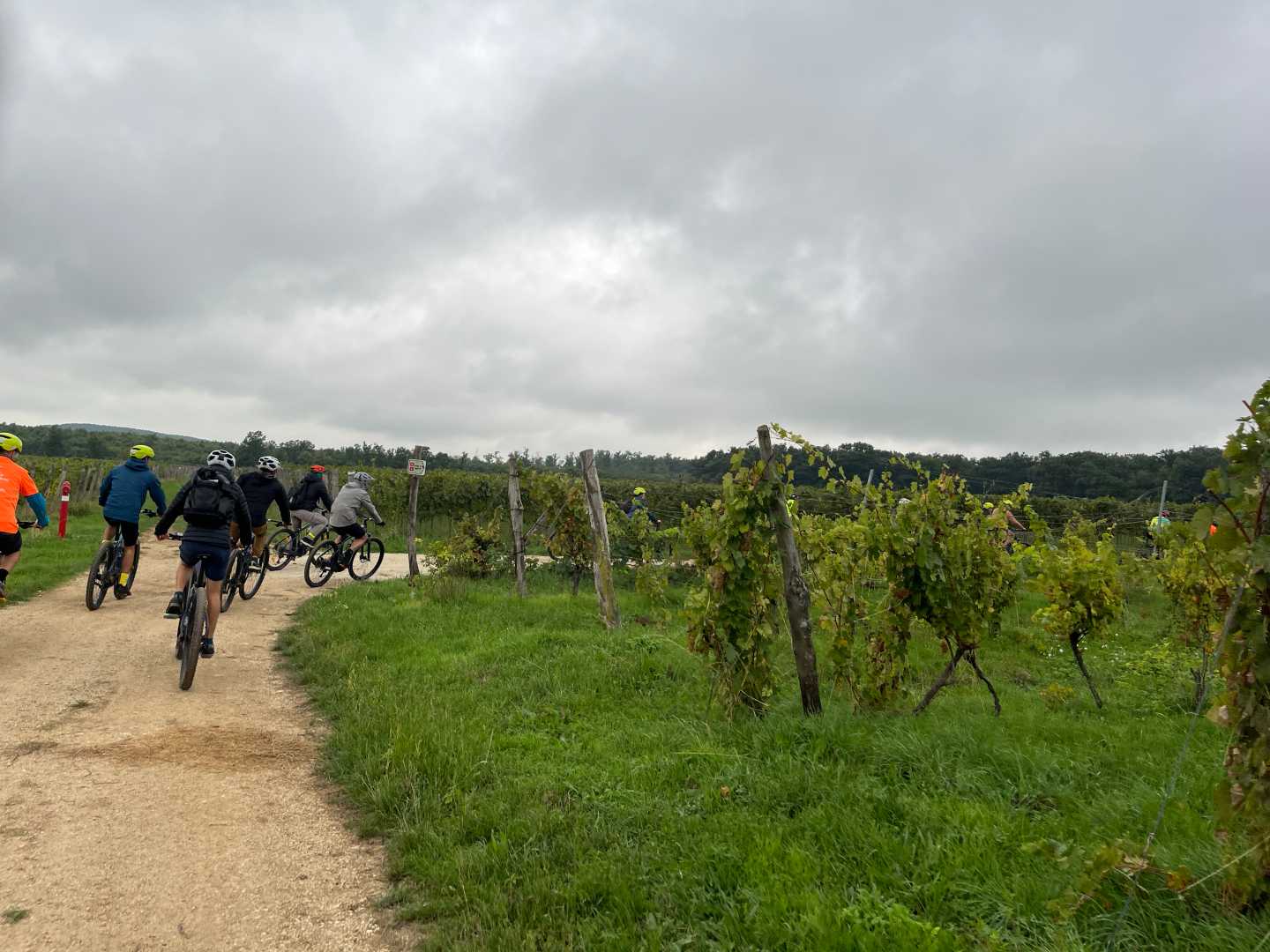 Balatonfüred-Tihany gravel túra-3