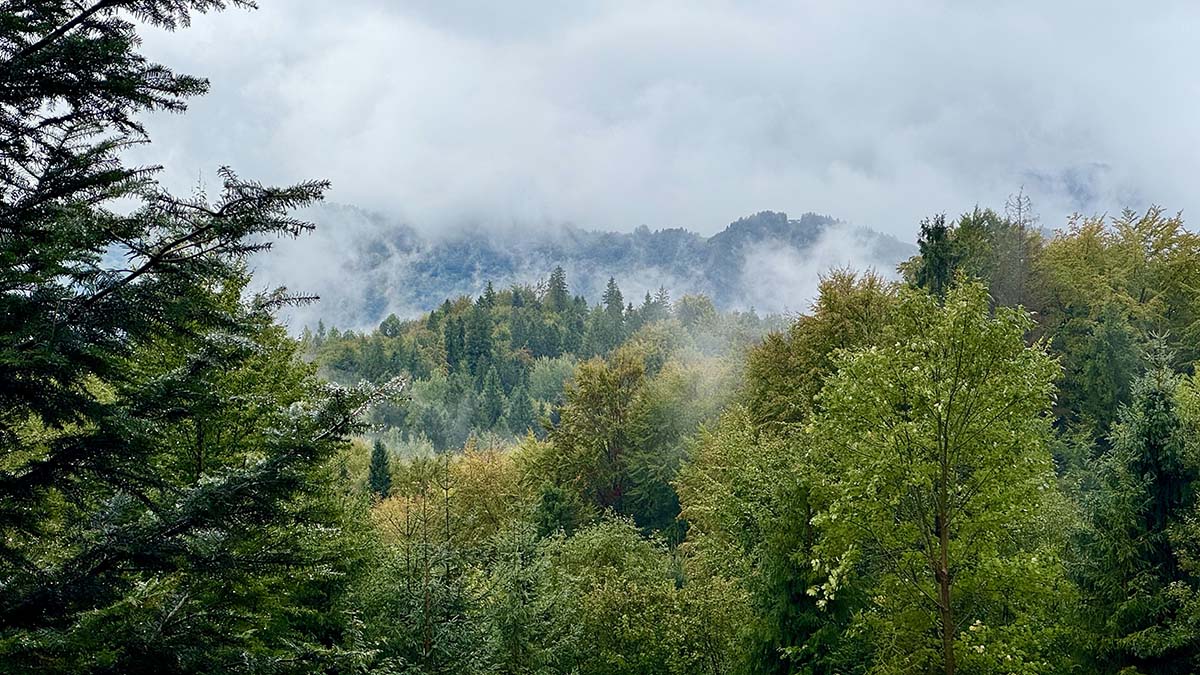 Itt még akkor is jól esik, ha jól esik-9