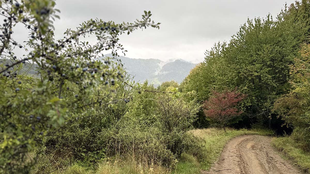 Itt még akkor is jól esik, ha jól esik-14