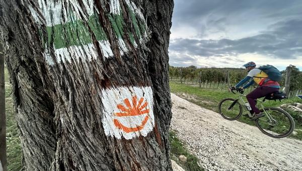 Horizont 22 - Veszprém-Badacsony