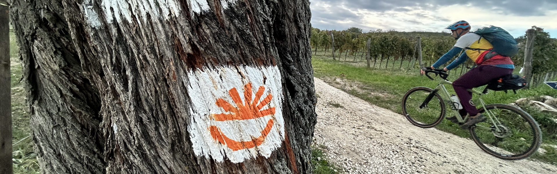 Horizont 22 - Veszprém-Badacsony