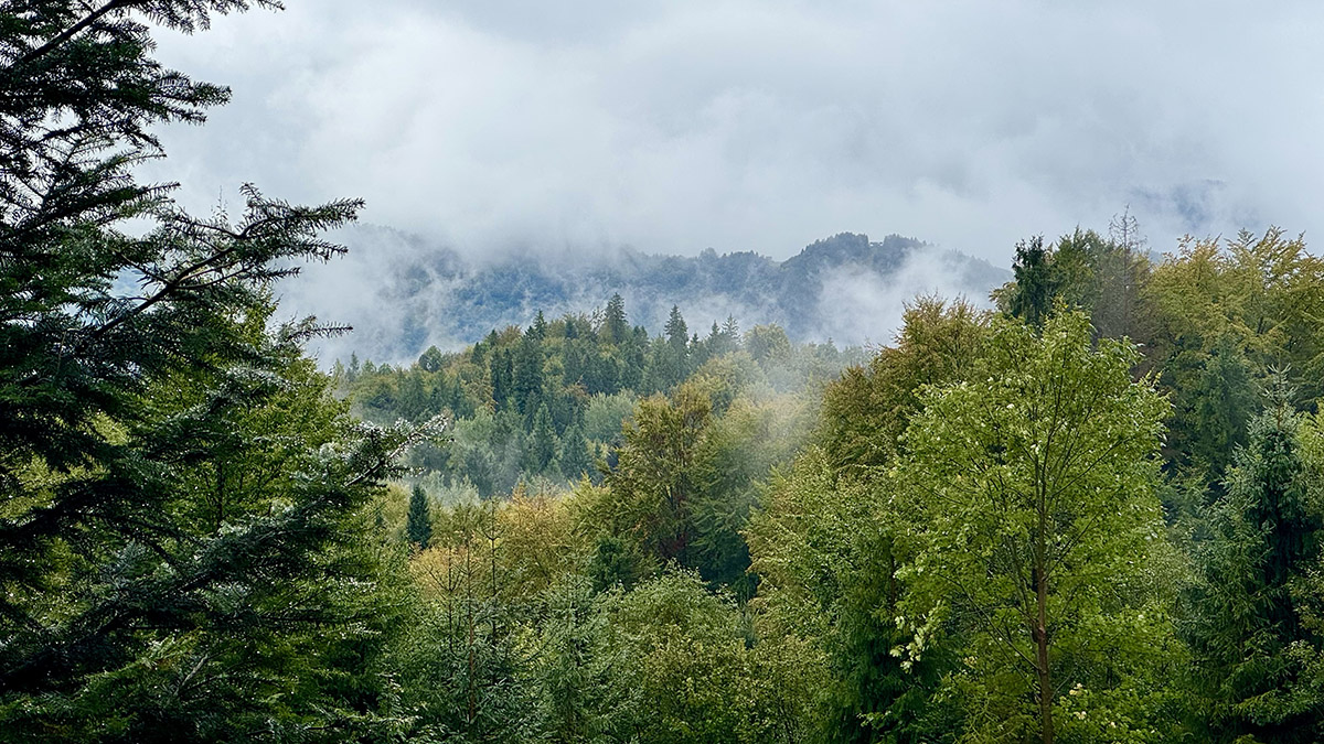 Szczawnica gravel grátisz sípályával-6