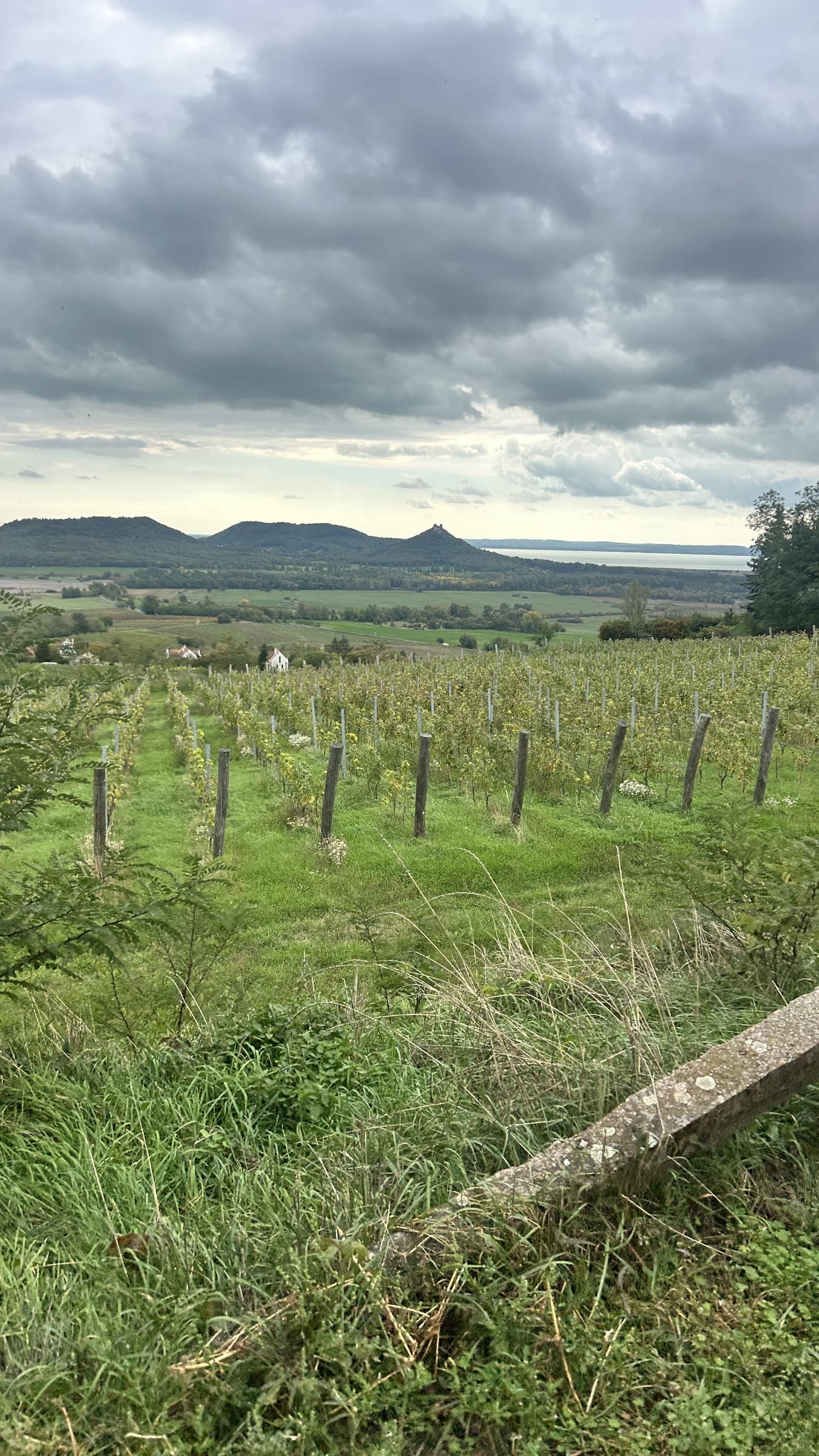 Horizont 23 - Badacsony-Keszthely-1