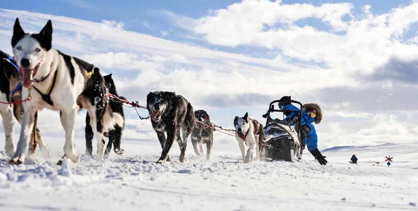 Indul a jelentkezés a Fjällräven Polarra-4