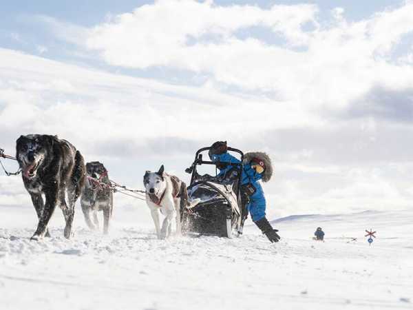 Indul a jelentkezés a Fjällräven Polarra