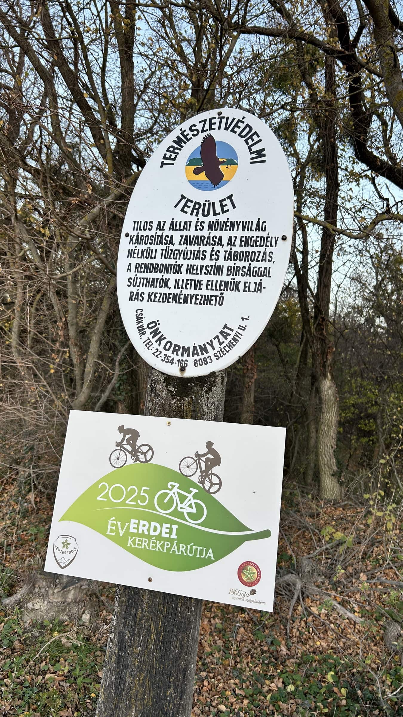 Az év erdei kerékpáros útja 2025 - Csákvár-Szárliget-7