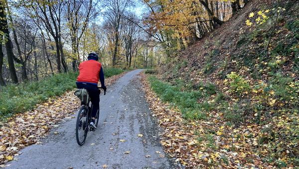 Az év erdei kerékpáros útja 2025 - Csákvár-Szárliget