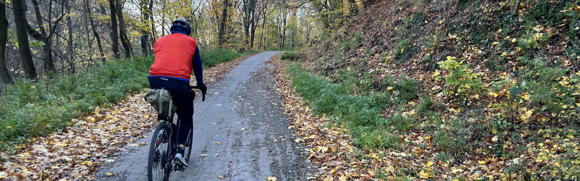 Az év erdei kerékpáros útja 2025 - Csákvár-Szárliget