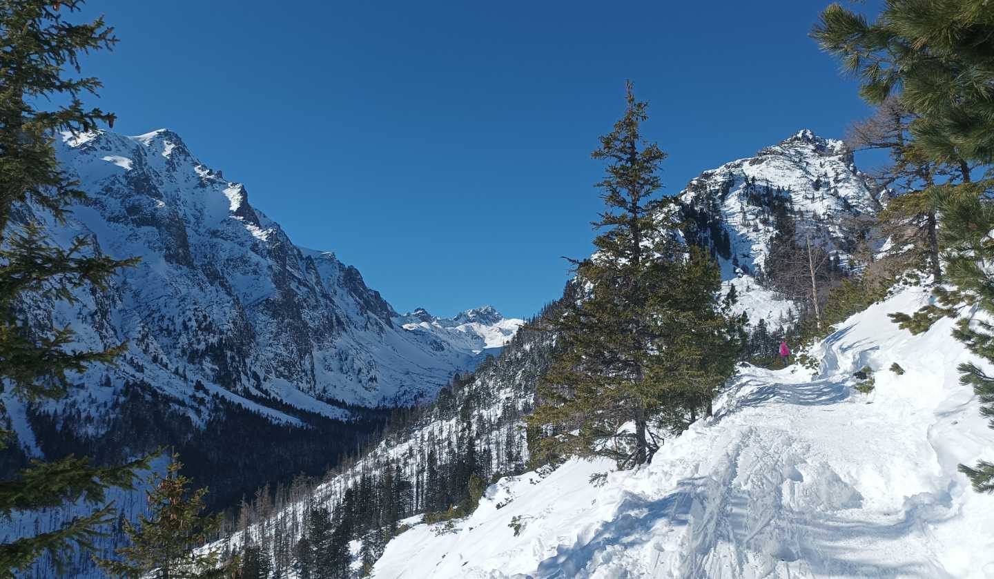 Zamkovszky menedékház körtúra-4